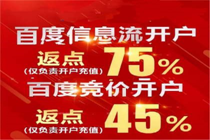 百度SEO推广公司案例分享：行业佼佼者经验